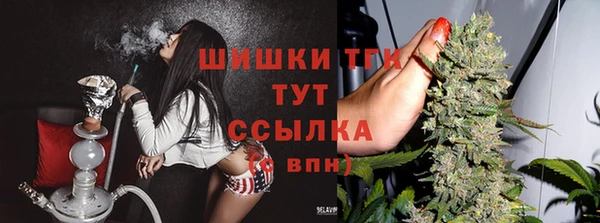 бутират Мегион
