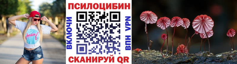 Галлюциногенные грибы Magic Shrooms Мурино
